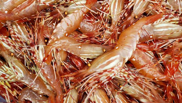 How to cook spot prawns chinese style